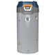 Premier® Force™ 90+ Ultra-Low NOx 75-Gallon Power Direct Vent Condensing Natural Gas Water Heater