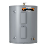 ProLine® Specialty  Lowboy Top Connect 28-Gallon Electric Water Heater