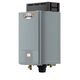 Adapt&reg;+ Premium Condensing 160,000 BTU Natural Gas Tankless Water Heater
